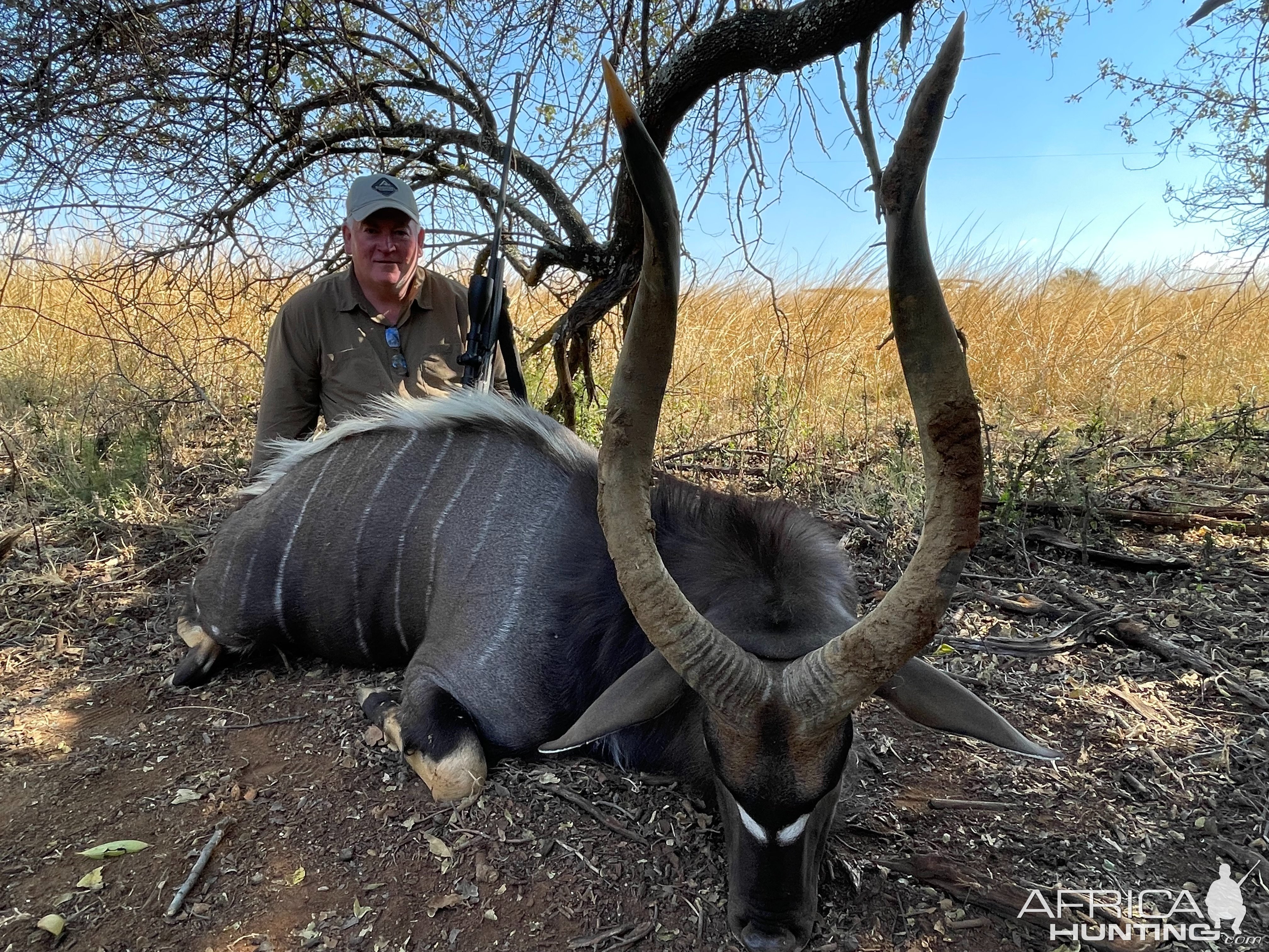 Kudu Hunt South Africa