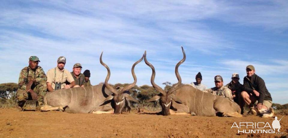 Kudu Hunt South Africa