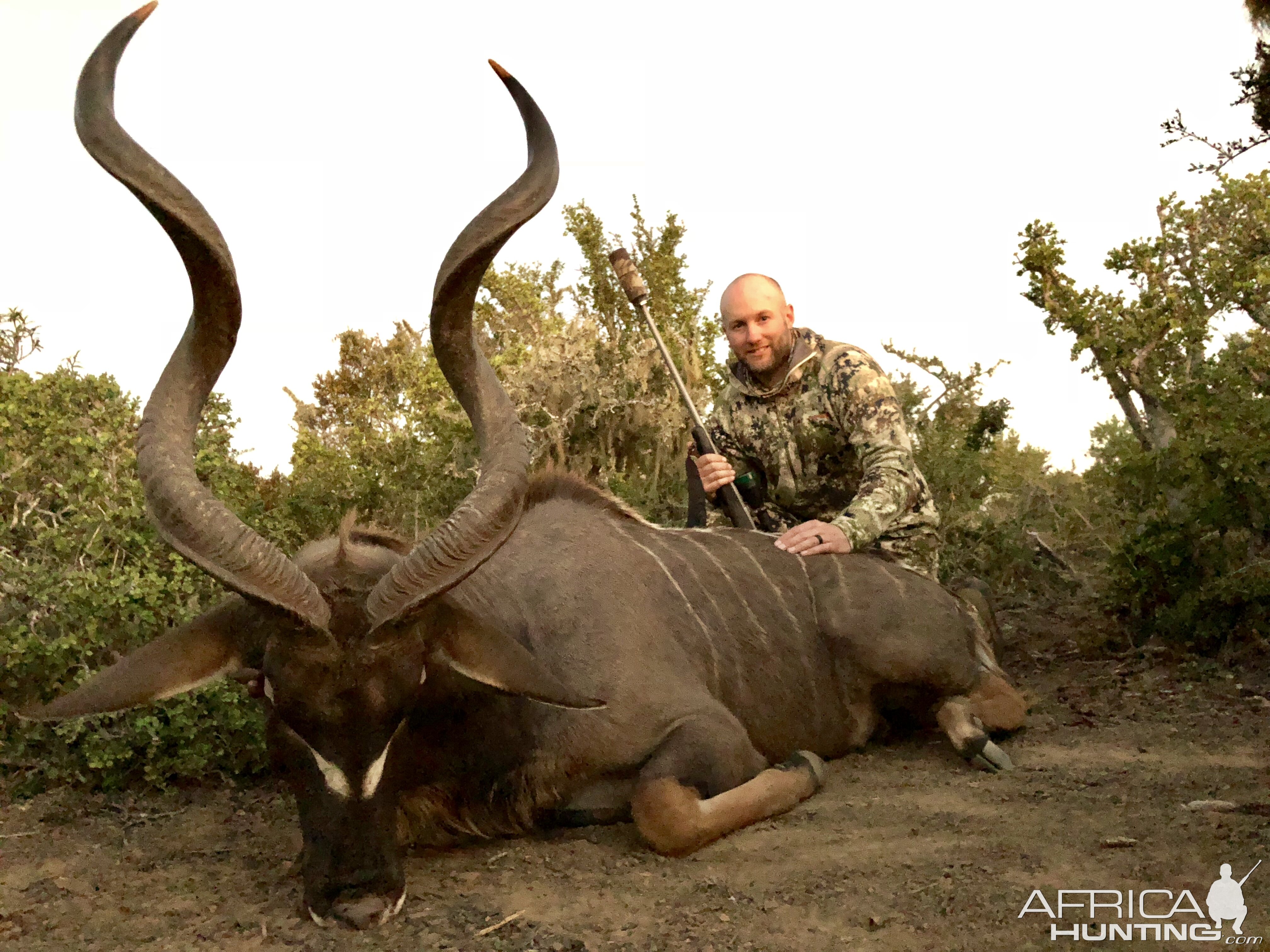 Kudu Hunt South Africa | AfricaHunting.com