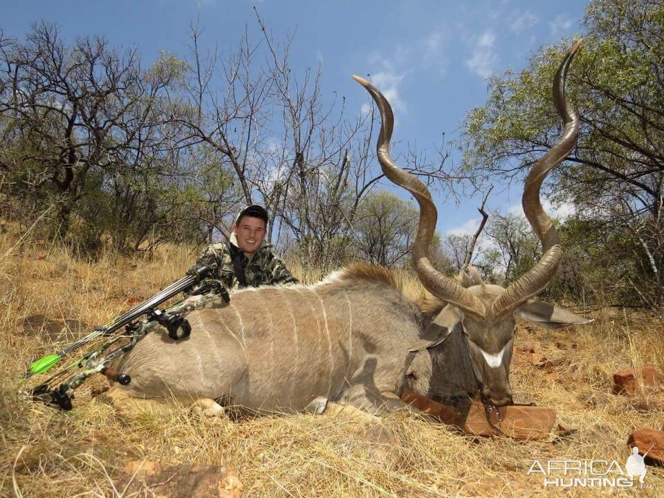 Kudu Hunt South Africa