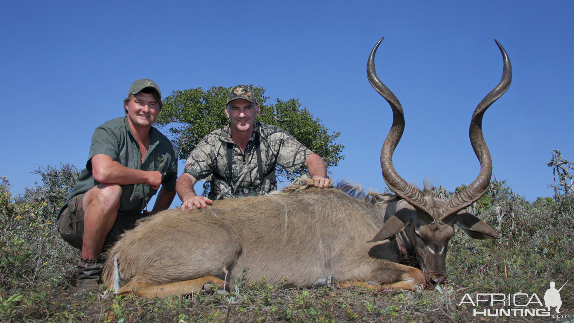 Kudu Hunt South Africa