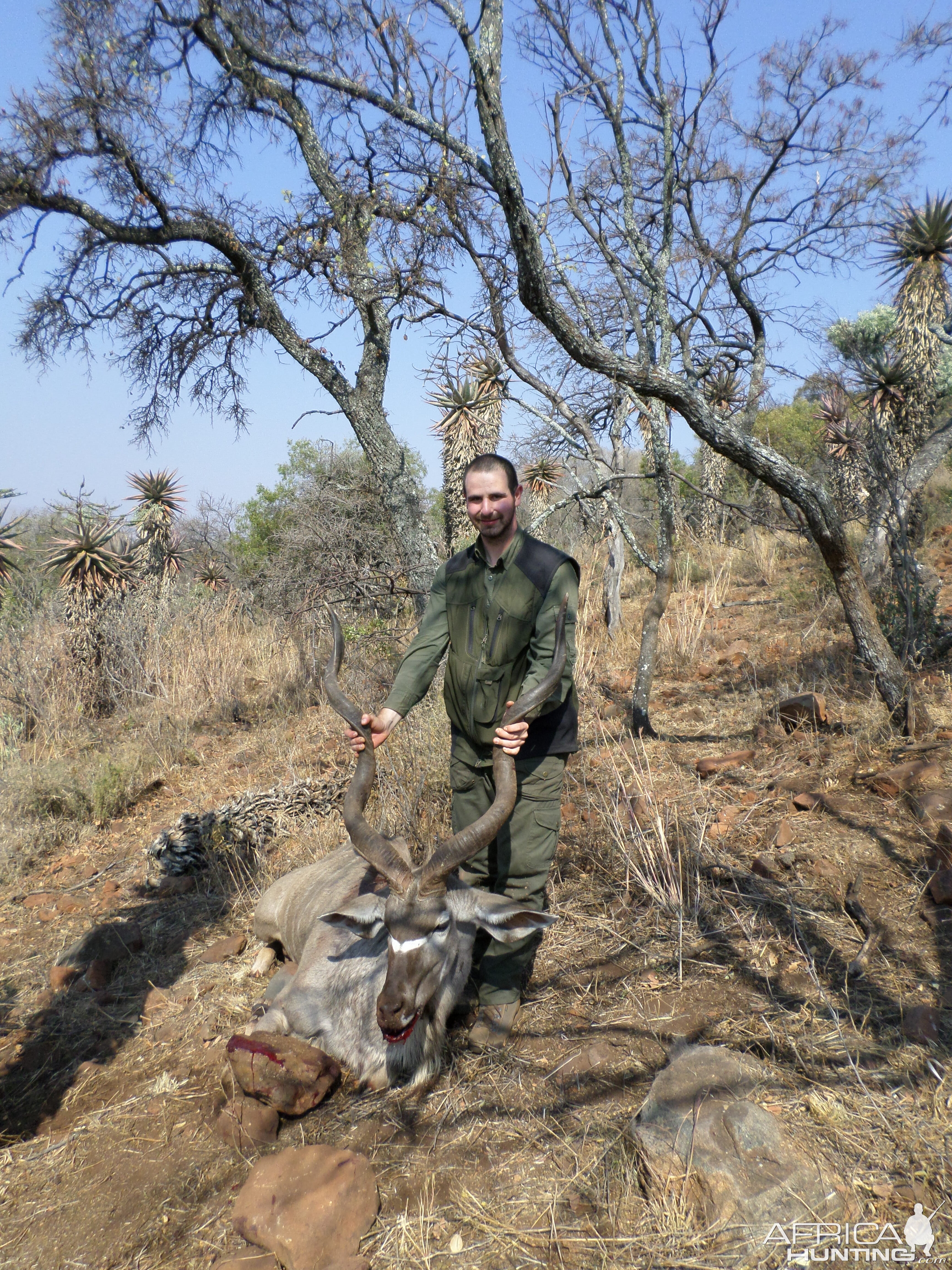 Kudu Hunt South Africa