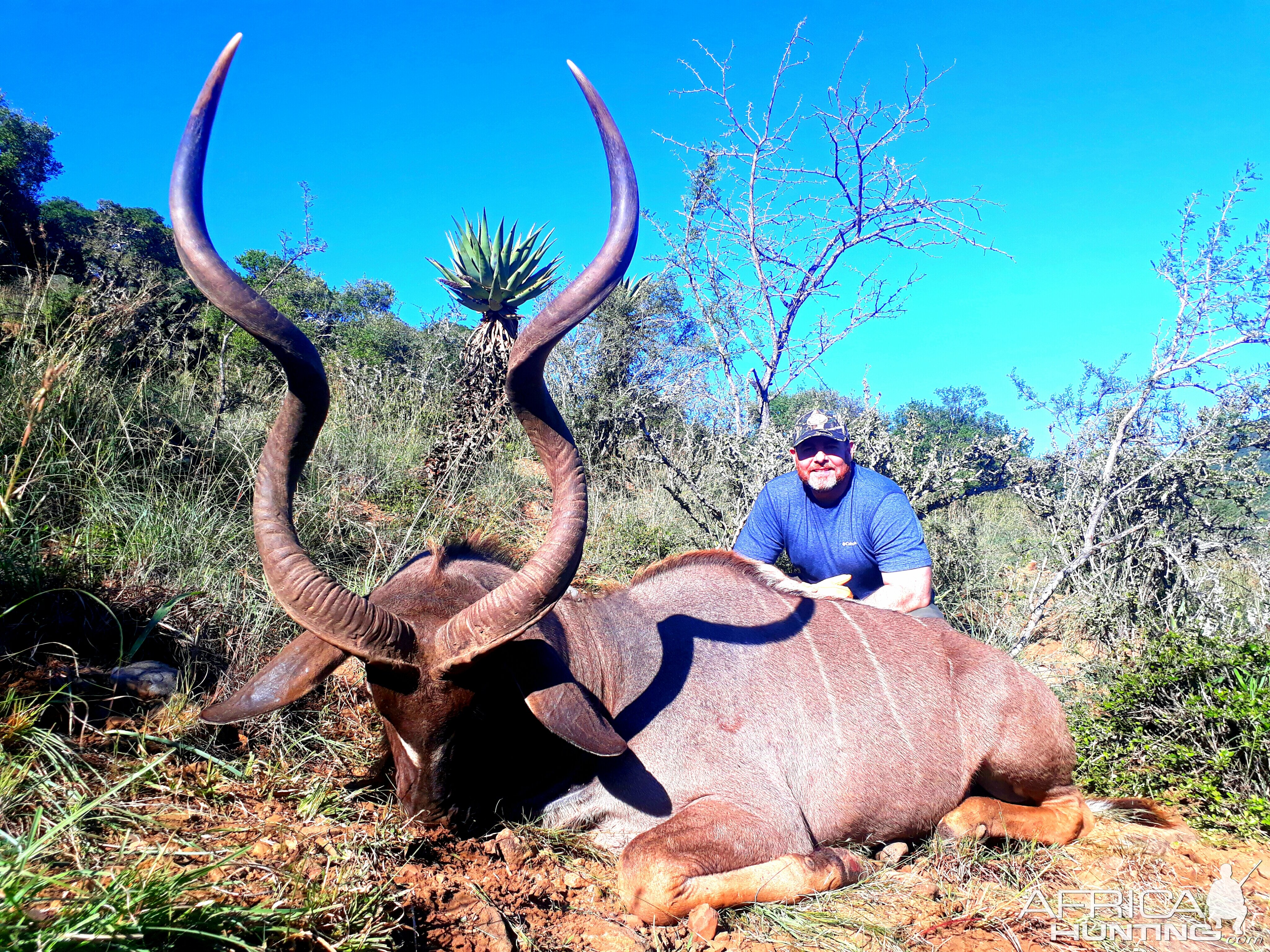 kudu-hunt-south-africa-hunting