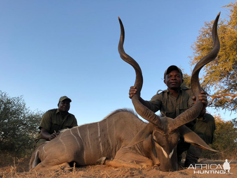 Kudu Hunt Zimbabwe