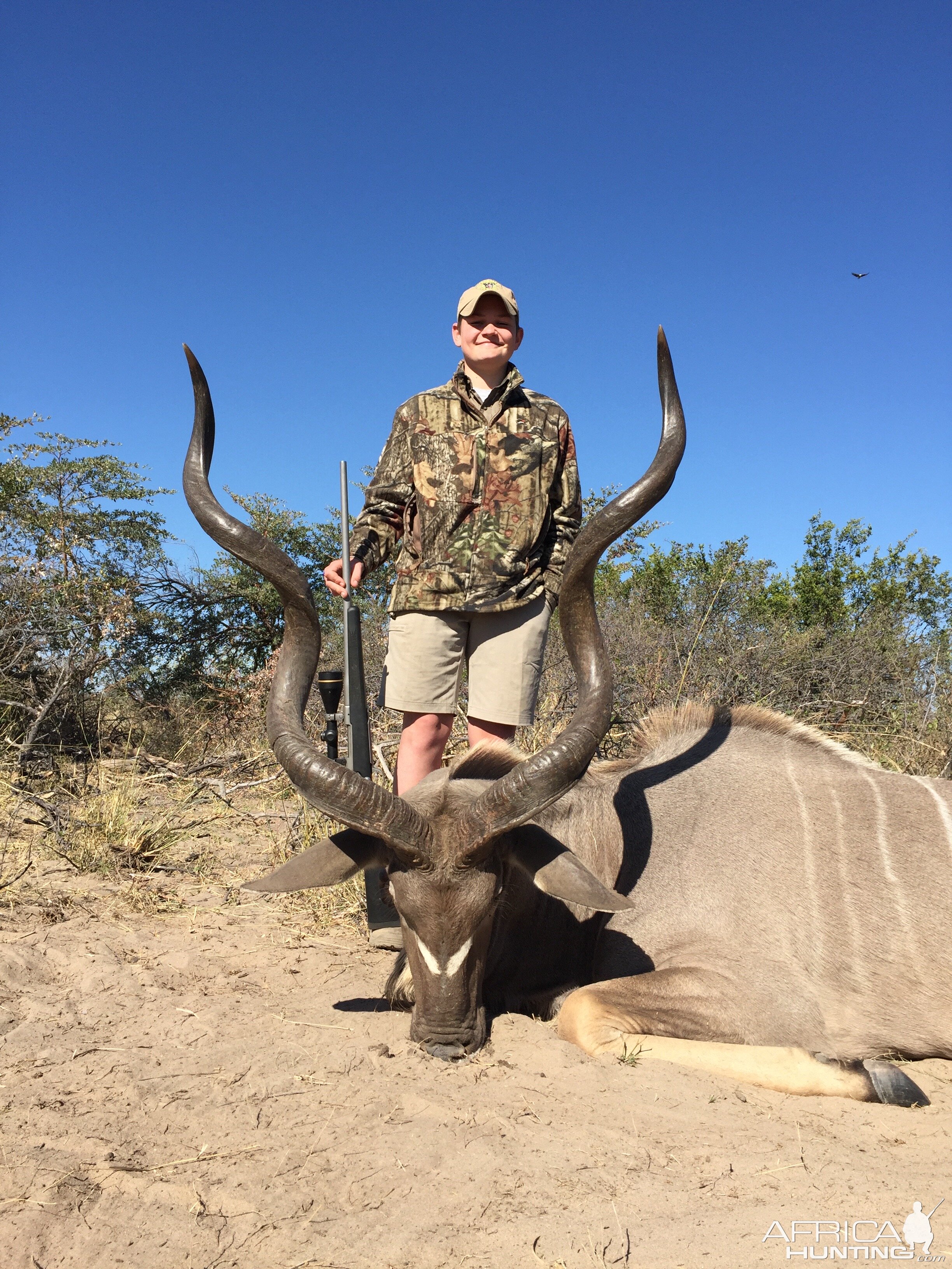 Kudu Hunt