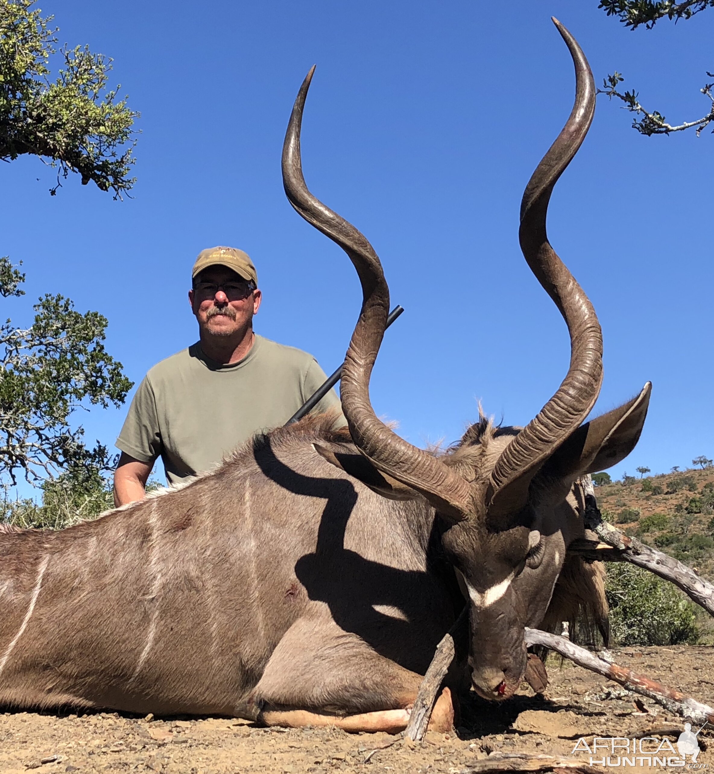 Kudu Hunt