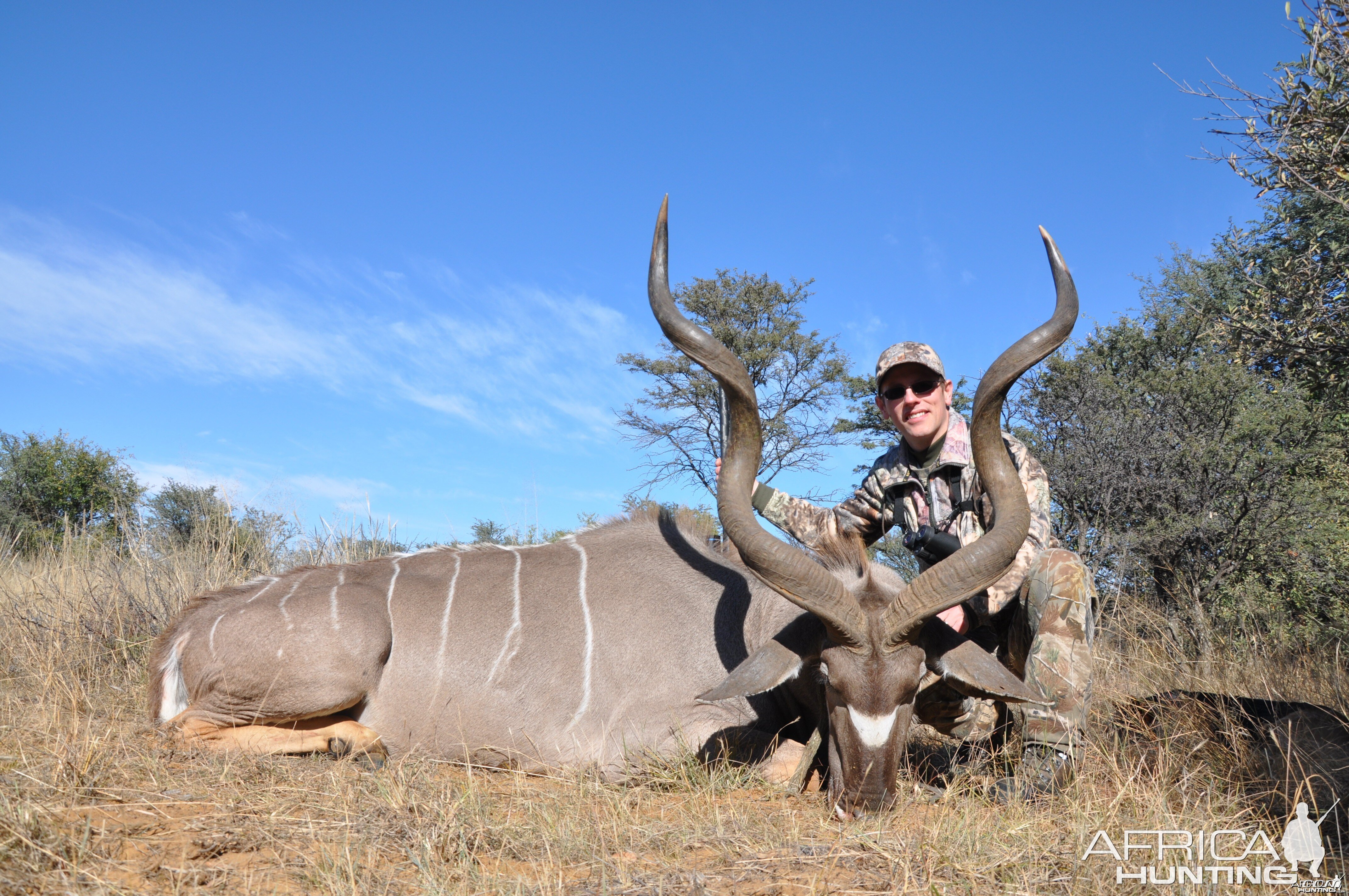 Kudu hunt