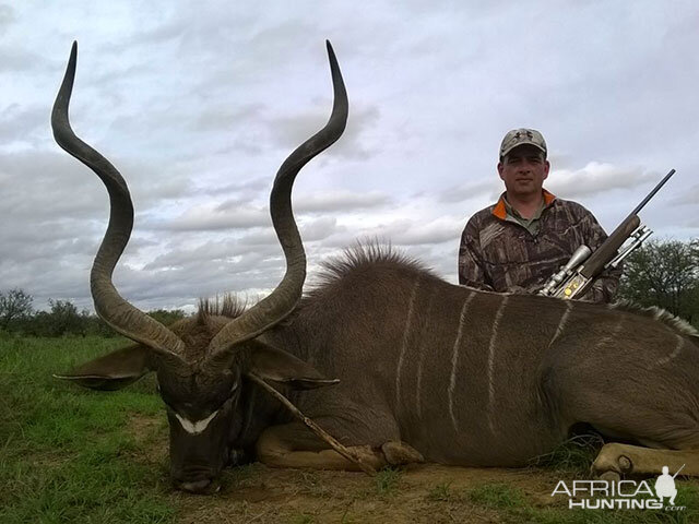 Kudu Hunt