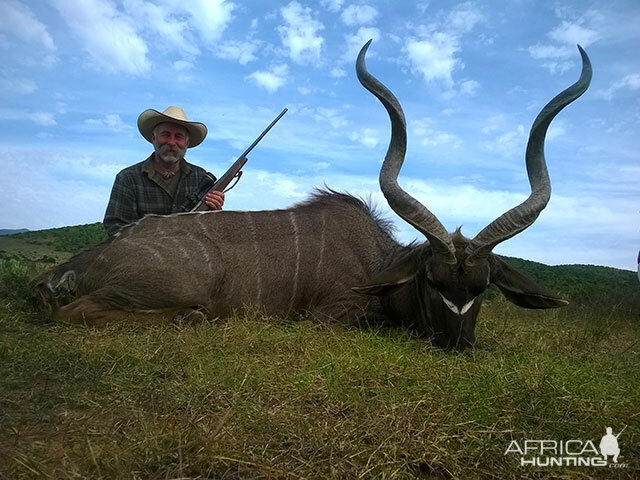 Kudu Hunt