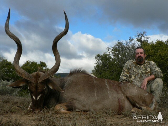 Kudu Hunt