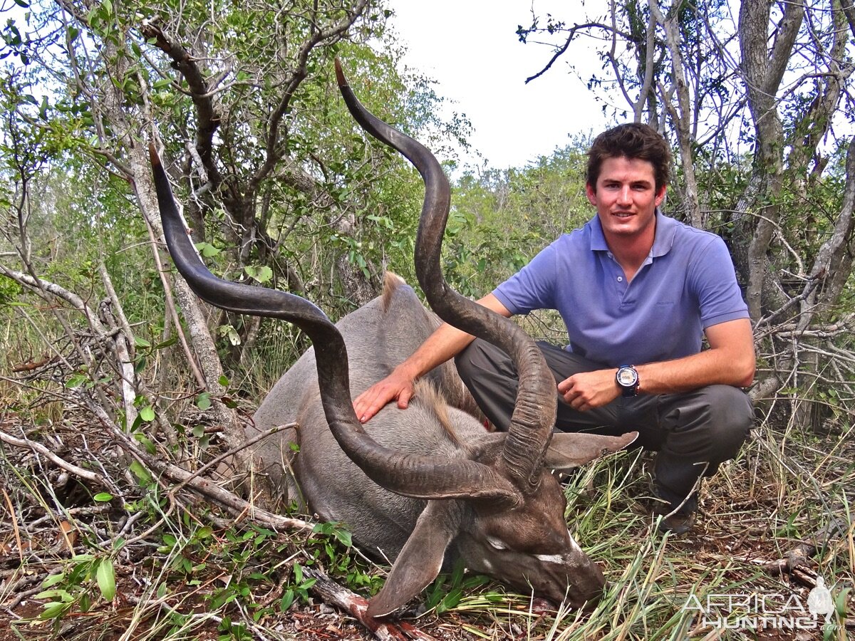 Kudu Hunt