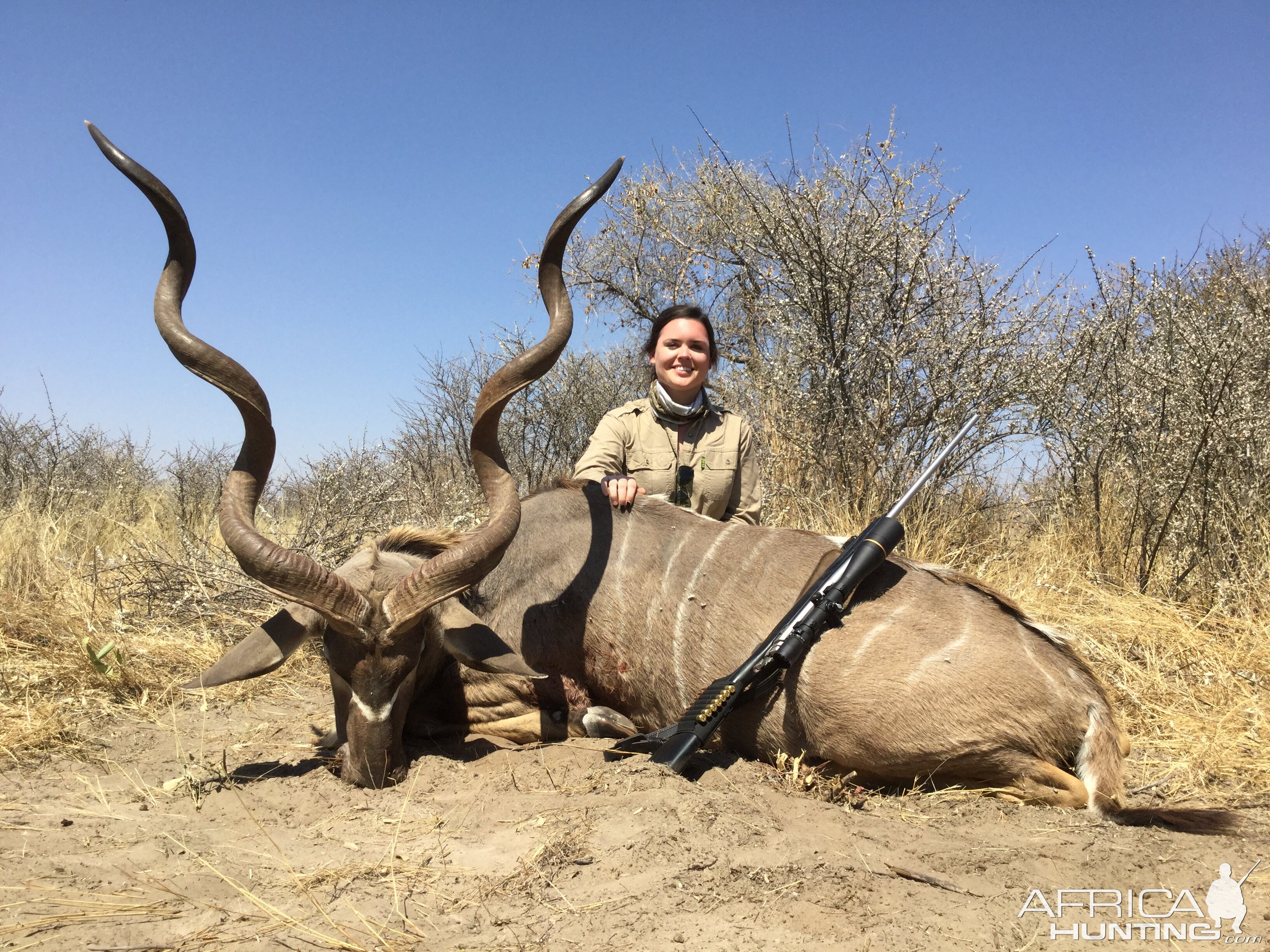 Kudu Hunting Botswana