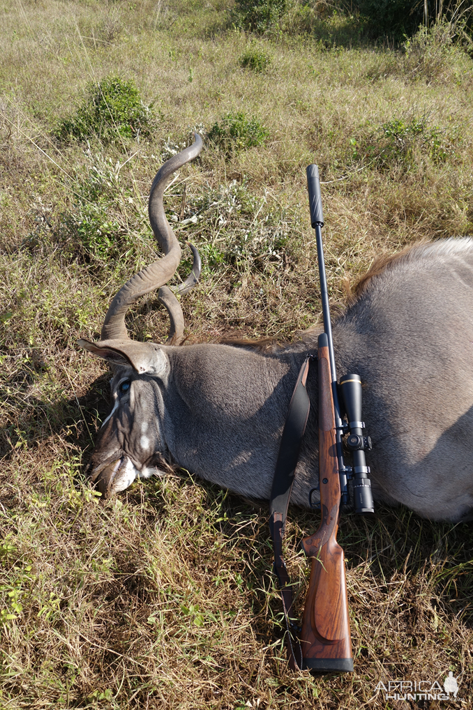 Kudu Hunting Eastern Cape South Africa