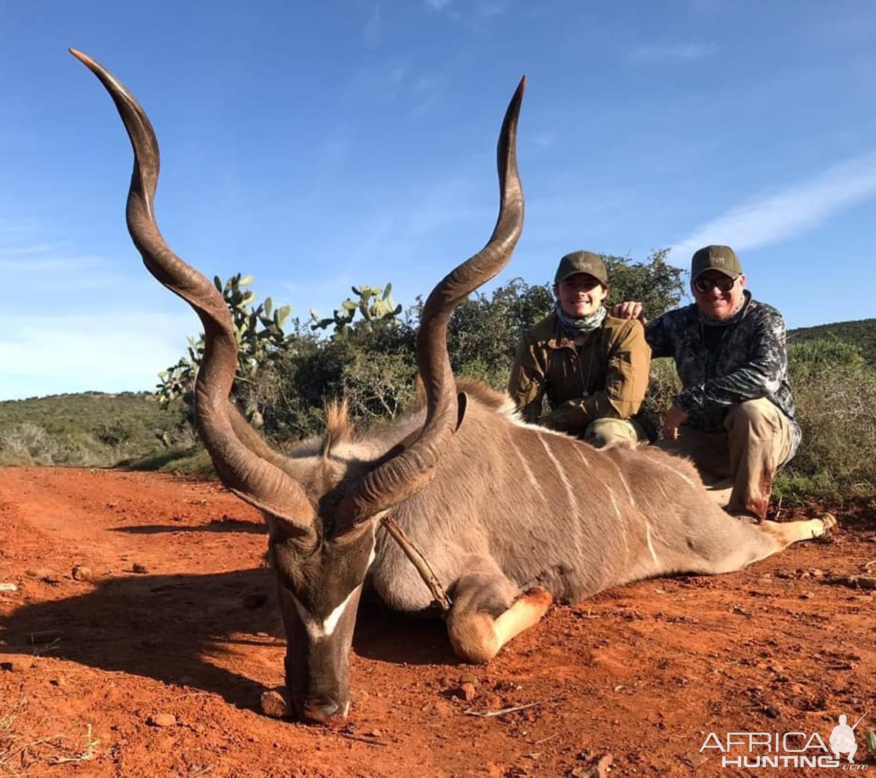 Kudu Hunting Eastern Cape South Africa