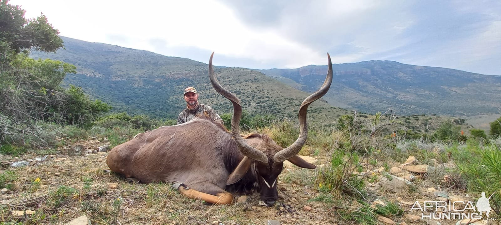 Kudu Hunting Eastern Cape South Africa