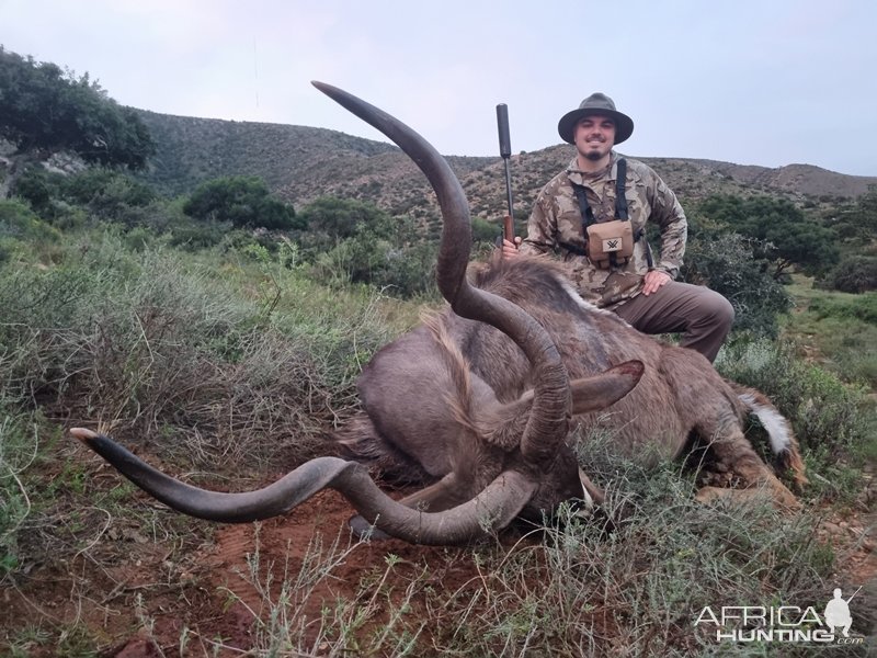 Kudu Hunting Eastern Cape South Africa