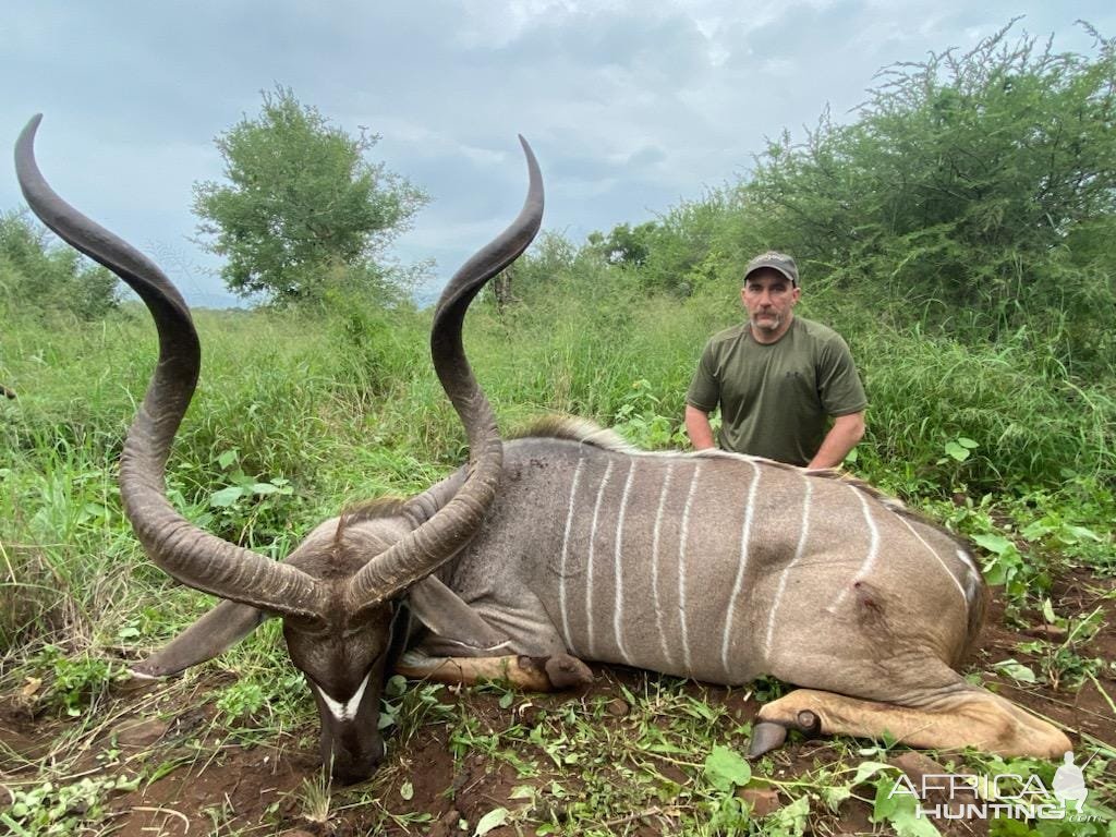 Kudu Hunting KwaZulu-Natal South Africa