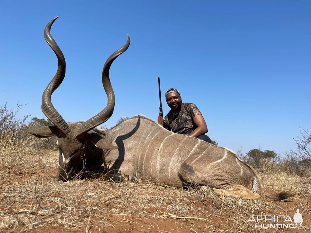 Kudu Hunting Limpopo Povince South Africa