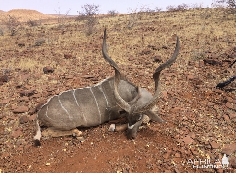 Kudu Hunting Namibia