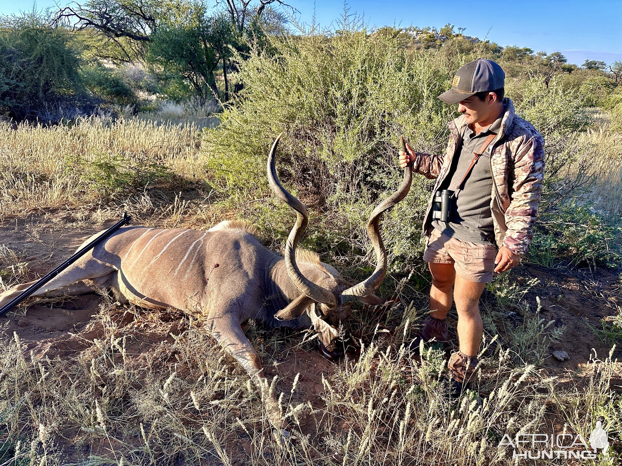 Kudu Hunting Namibia