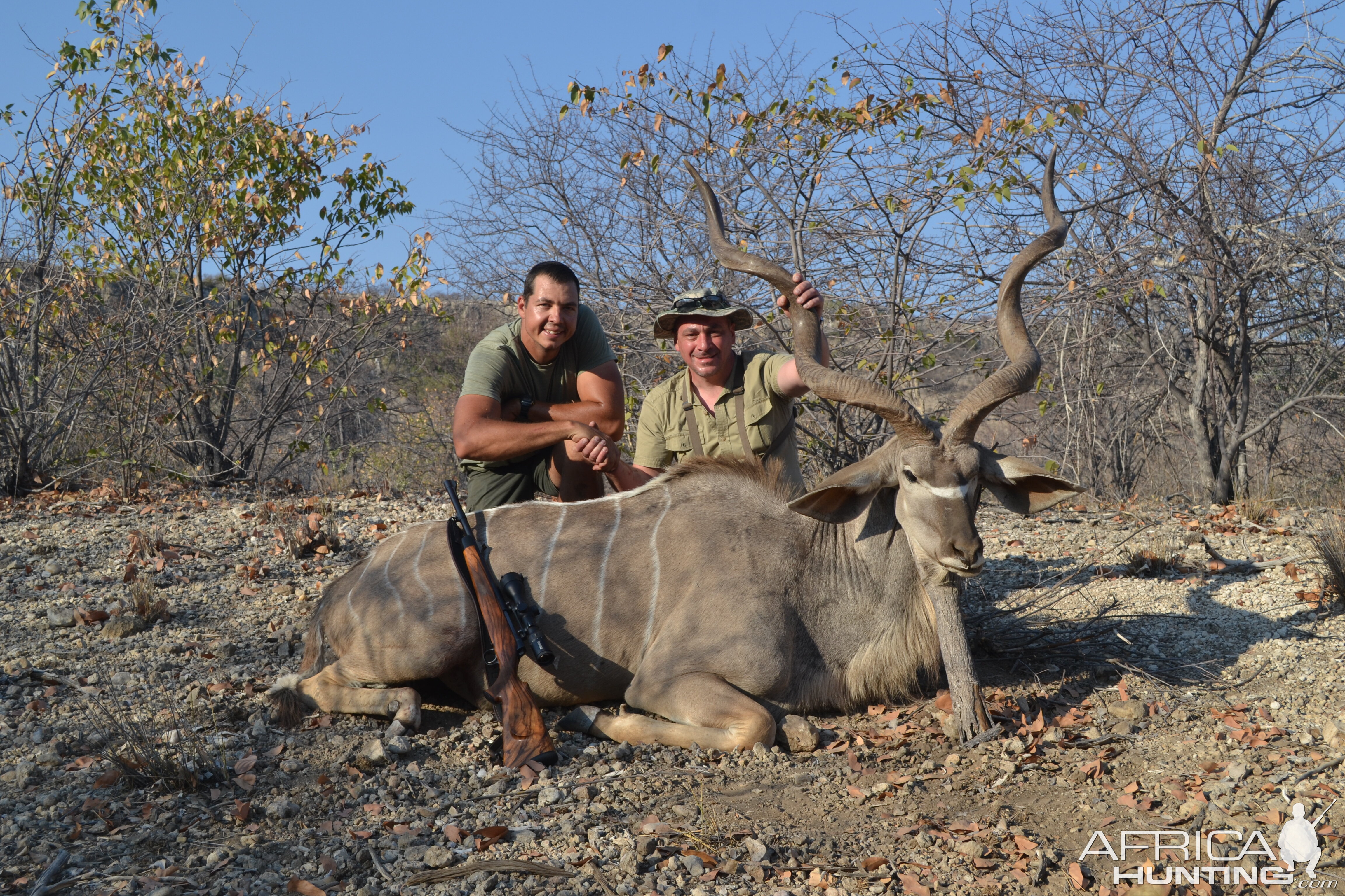 Kudu Hunting Namibia