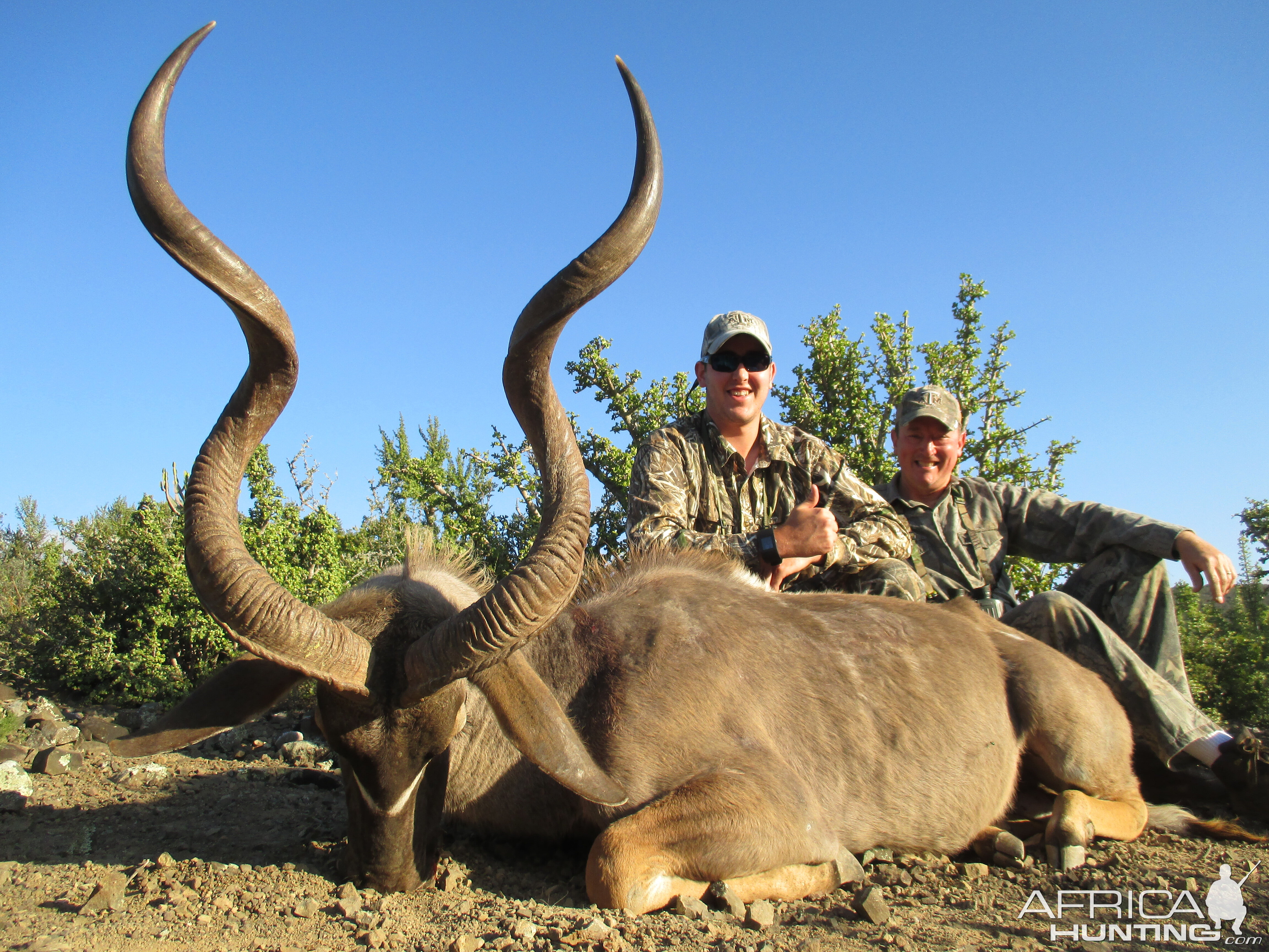 Kudu Hunting South Africa