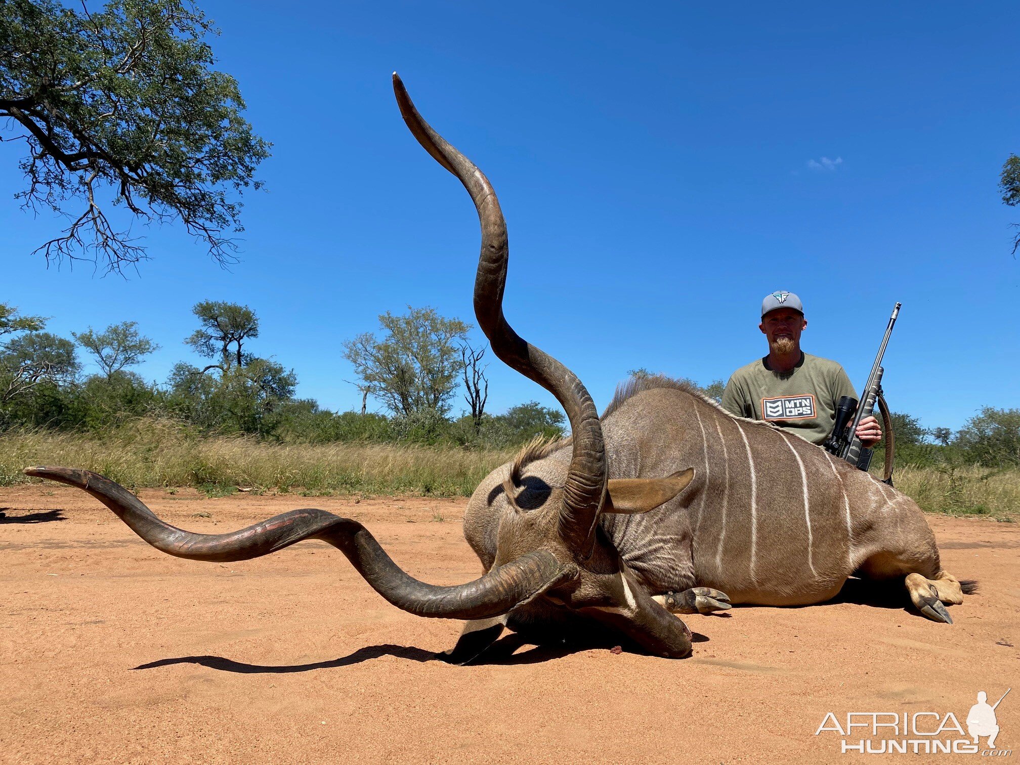 Kudu Hunting South Africa