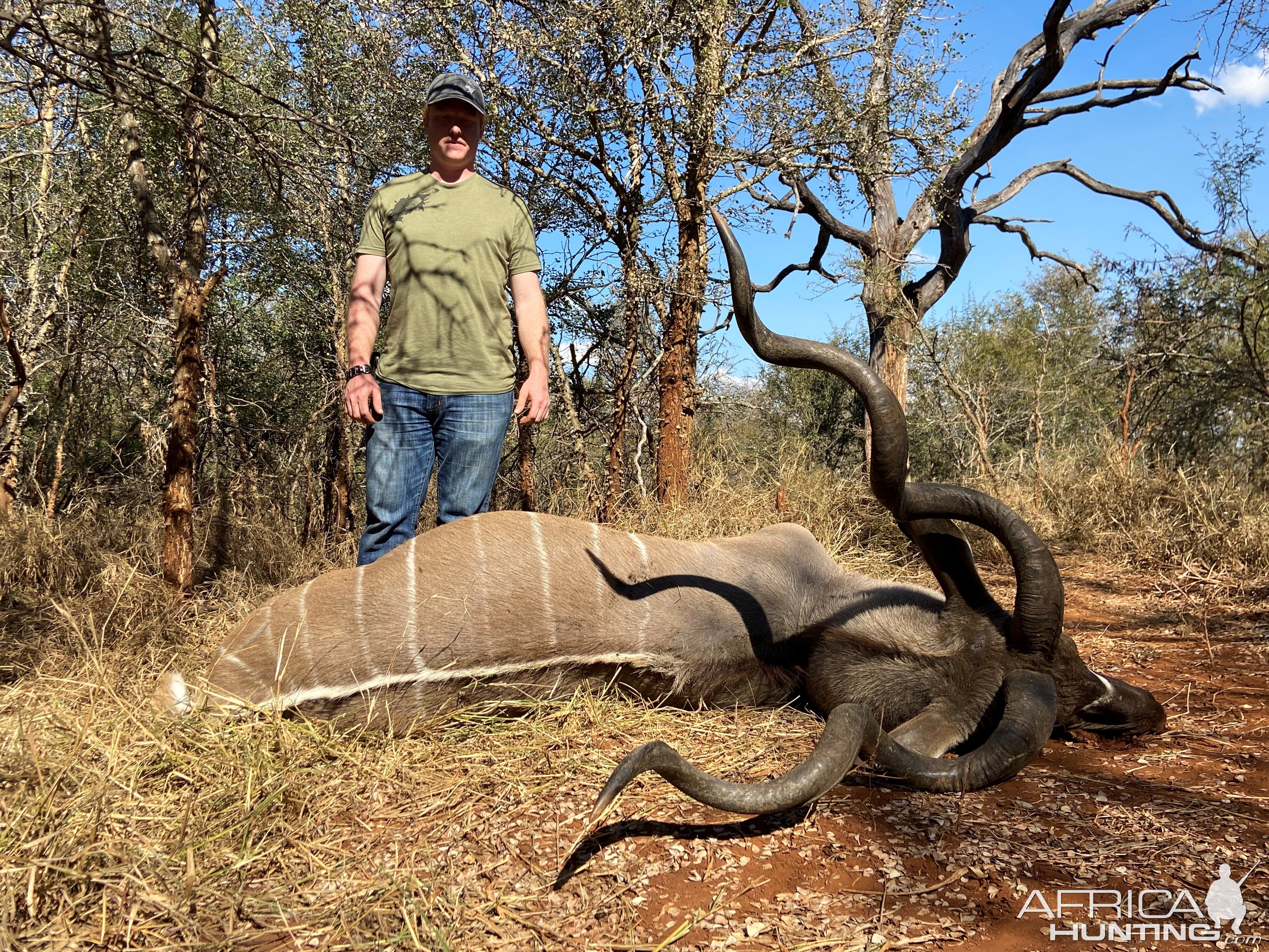 Kudu Hunting South Africa