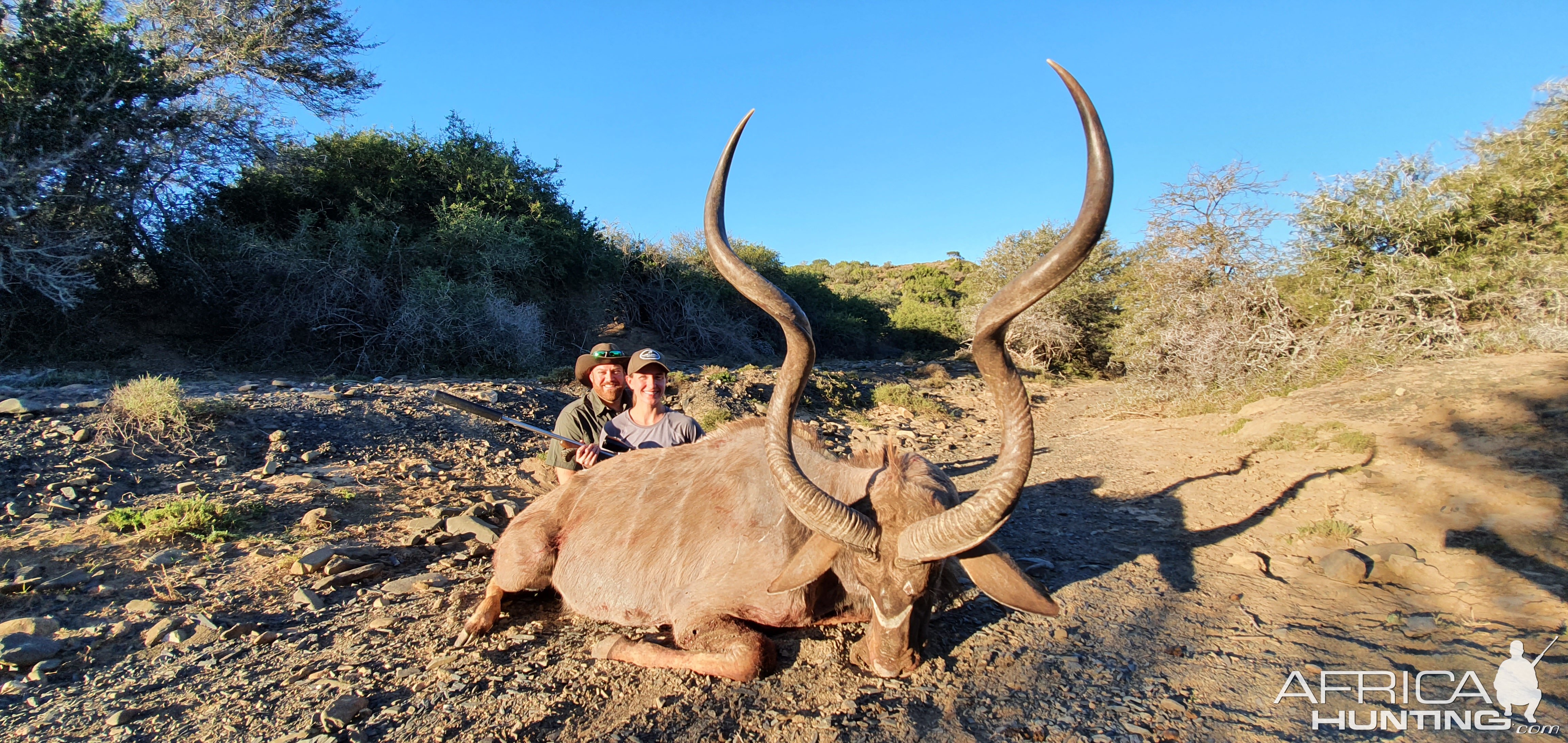 Kudu Hunting South Africa