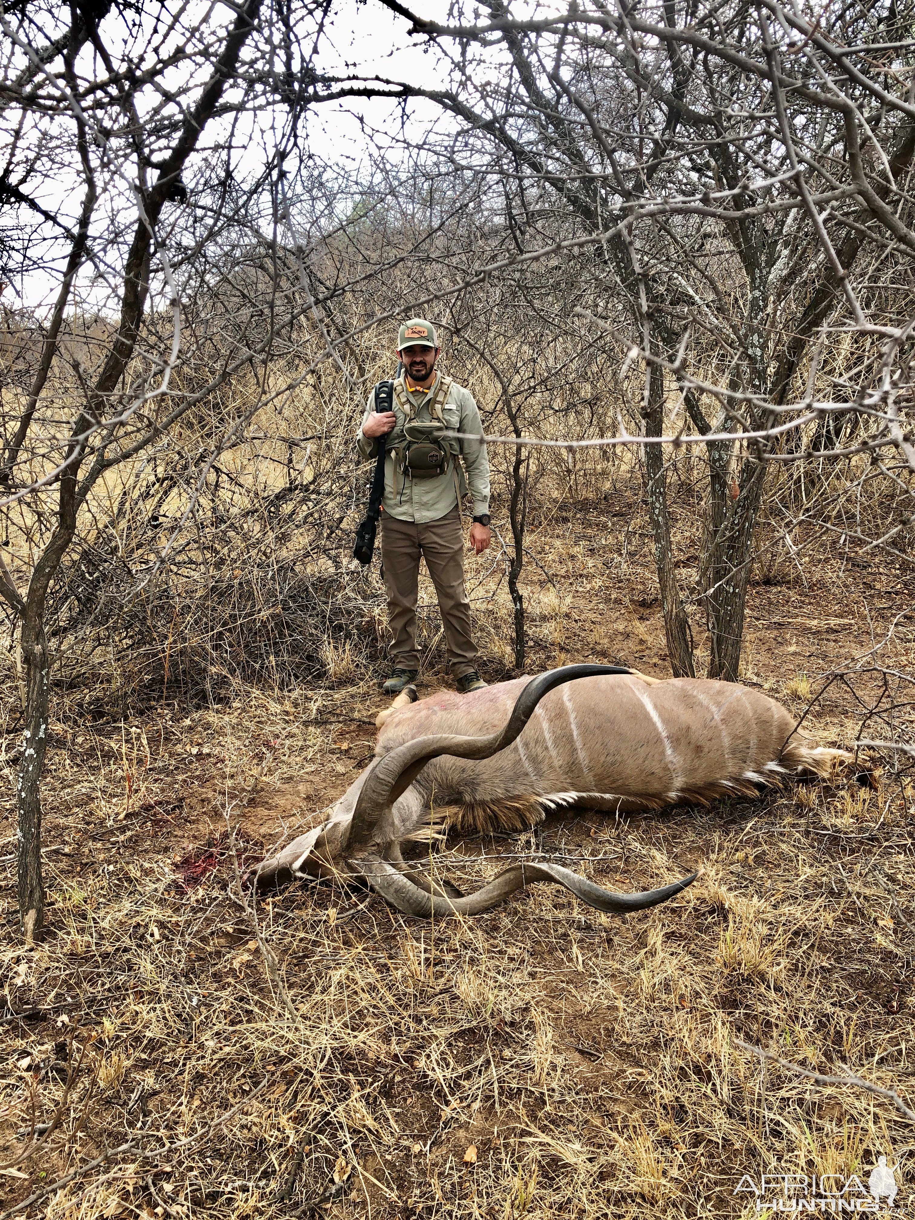 Kudu Hunting South Africa