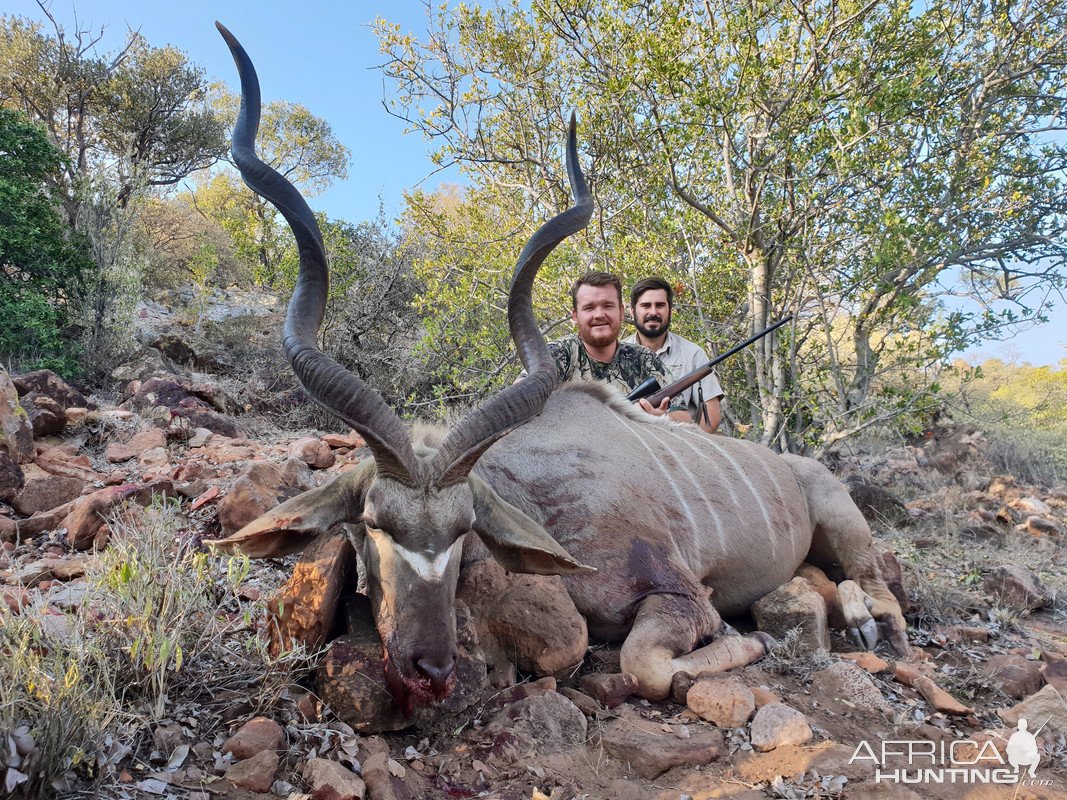 Kudu Hunting South Africa