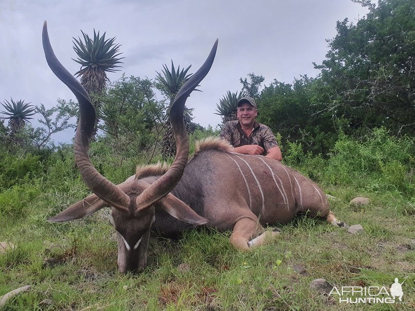 Kudu Hunting South Africa