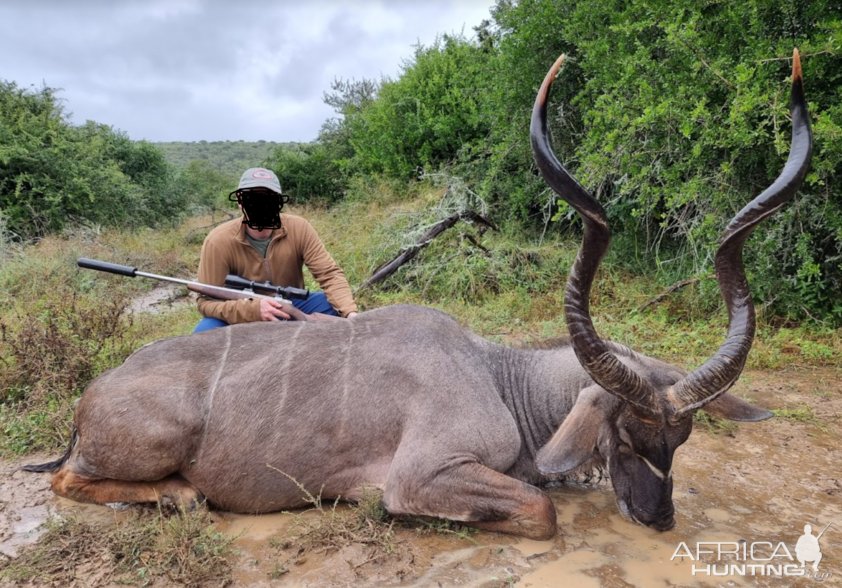 Kudu Hunting South Africa