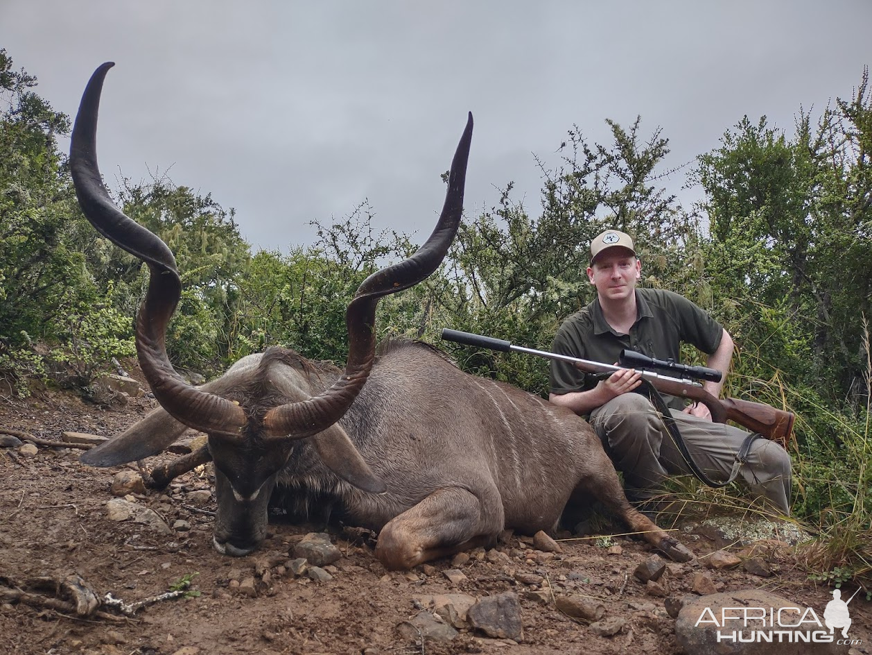 Kudu Hunting South Africa