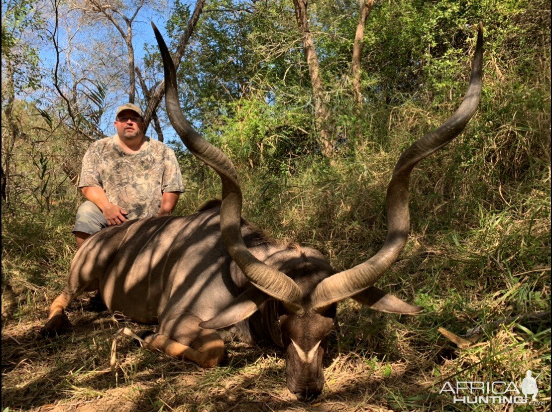 Kudu Hunting South Africa