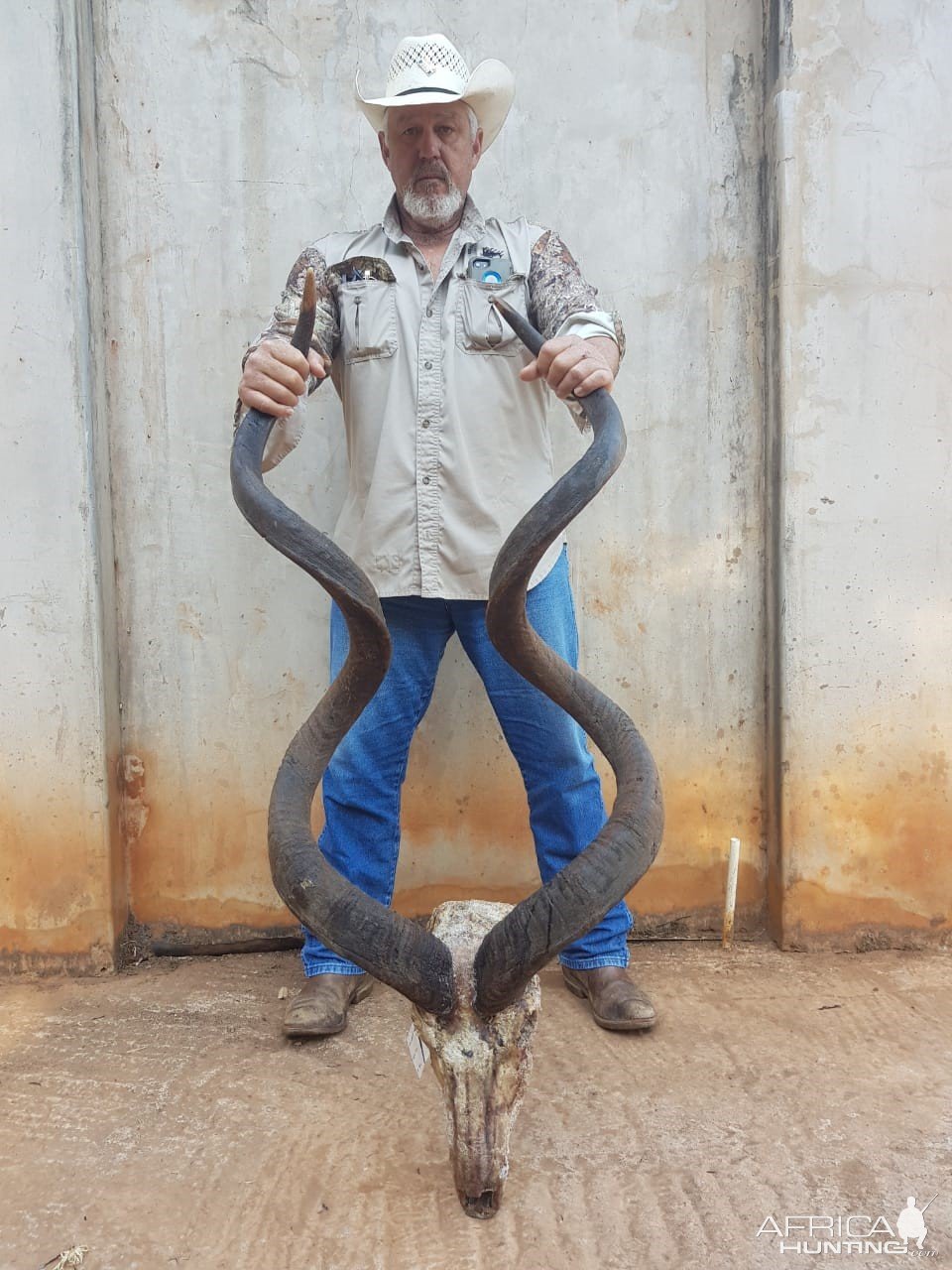 Kudu Hunting South Africa