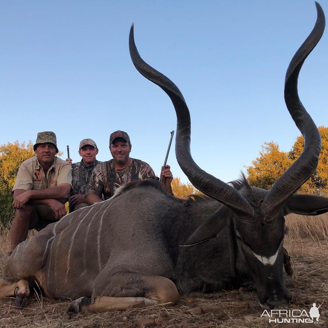 Kudu Hunting South Africa