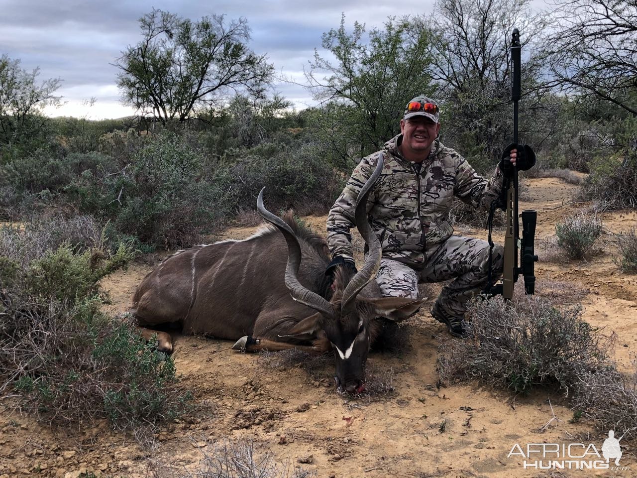 Kudu Hunting South Africa