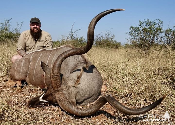 Kudu Hunting South Africa