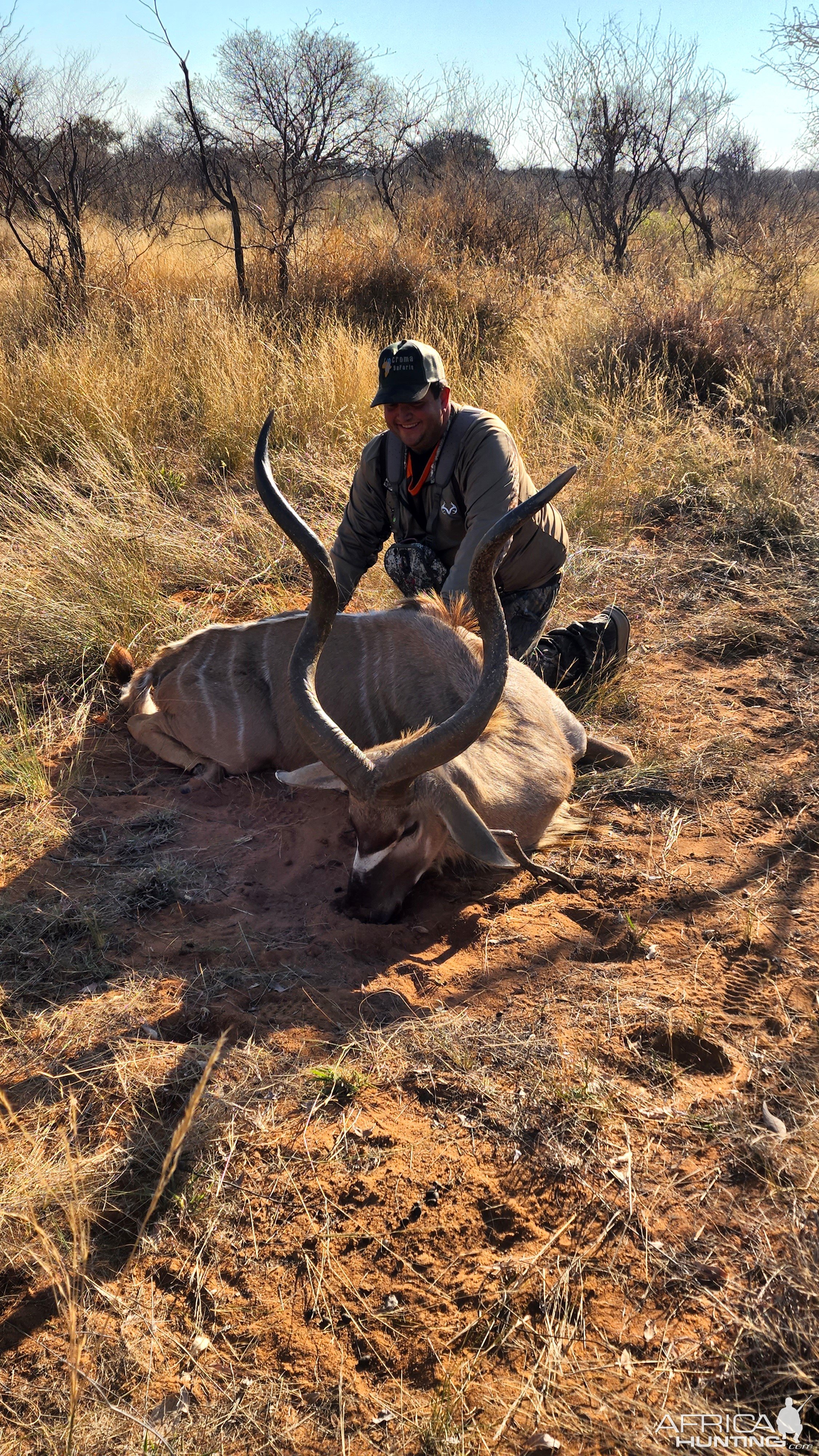 Kudu Hunting South Africa