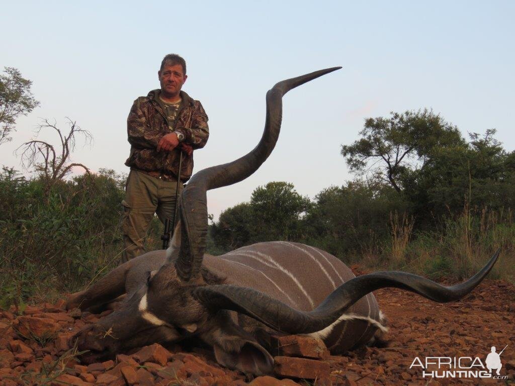 Kudu Hunting South Africa