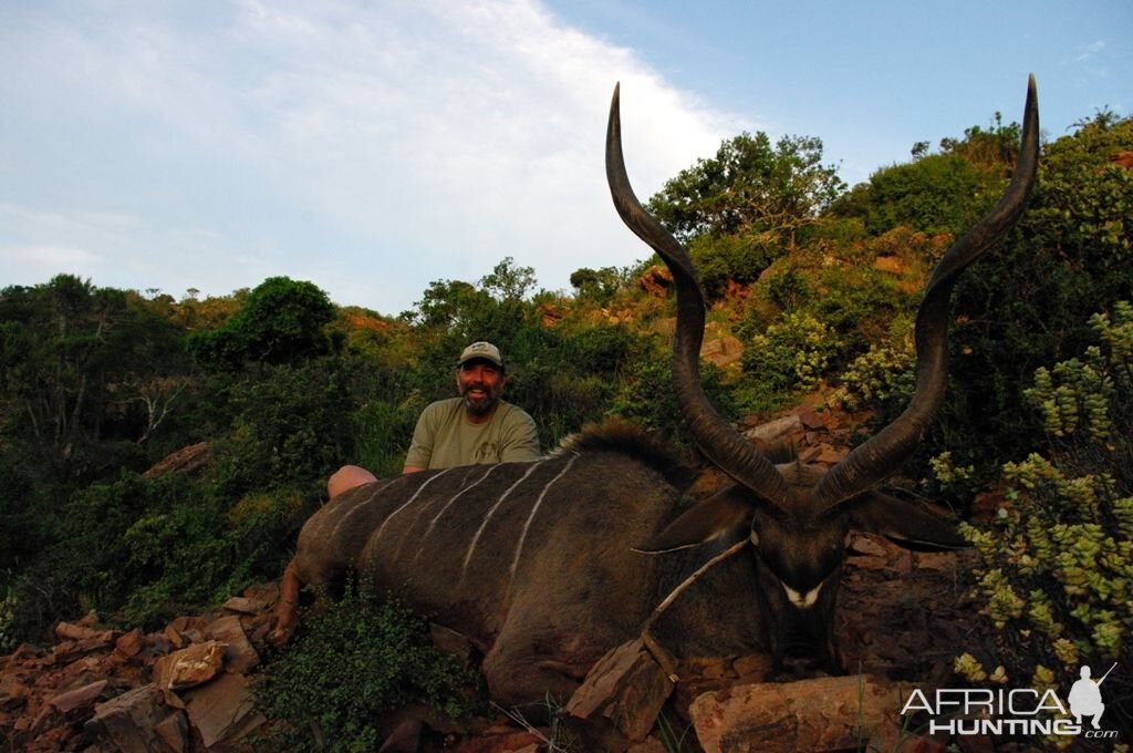 Kudu Hunting South Africa