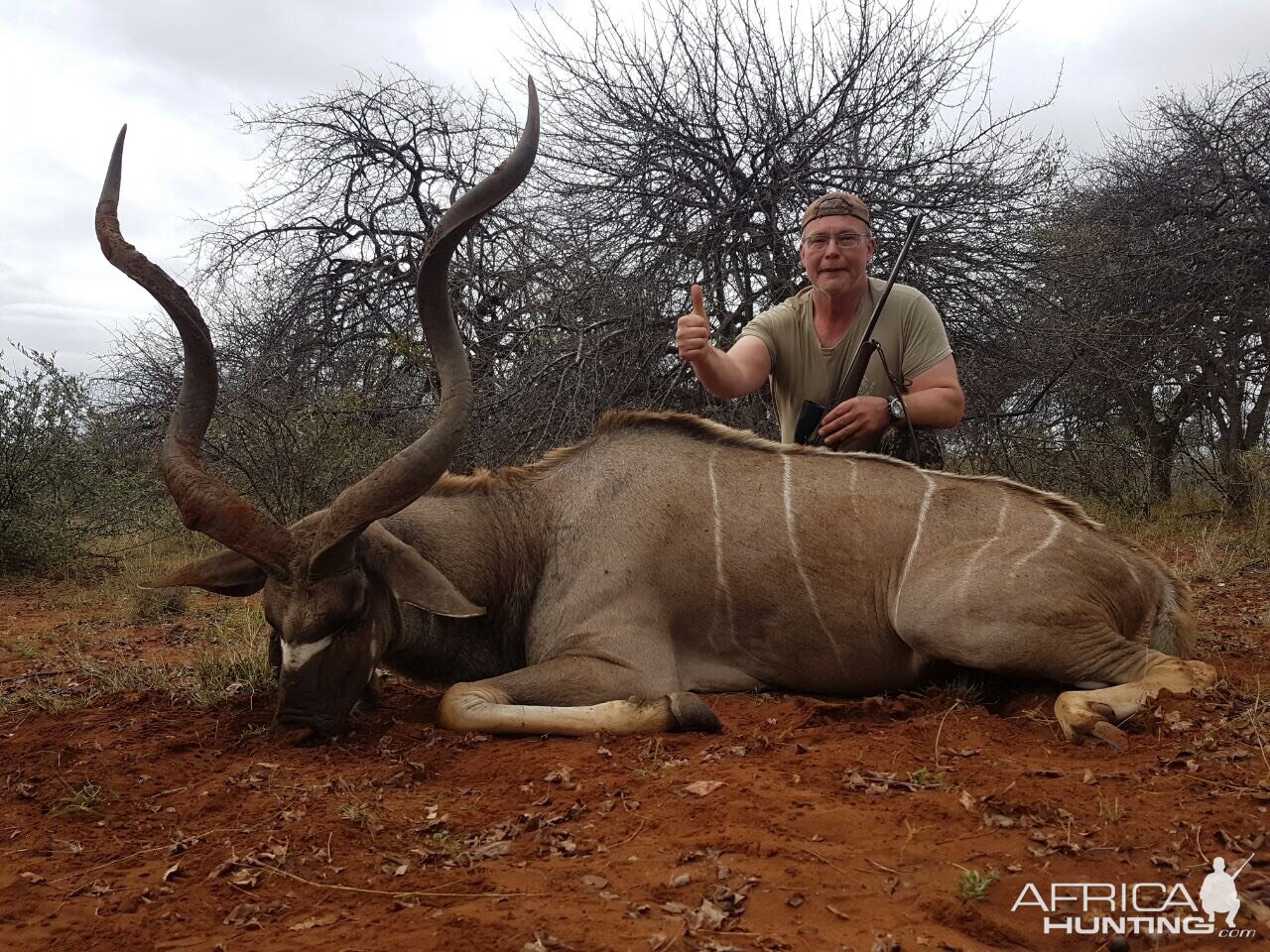 Kudu Hunting South Africa