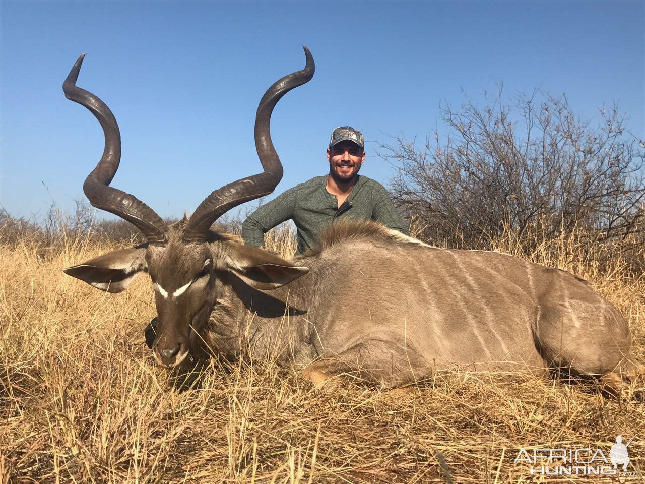 Kudu Hunting South Africa