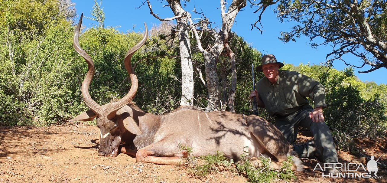 Kudu Hunting South Africa