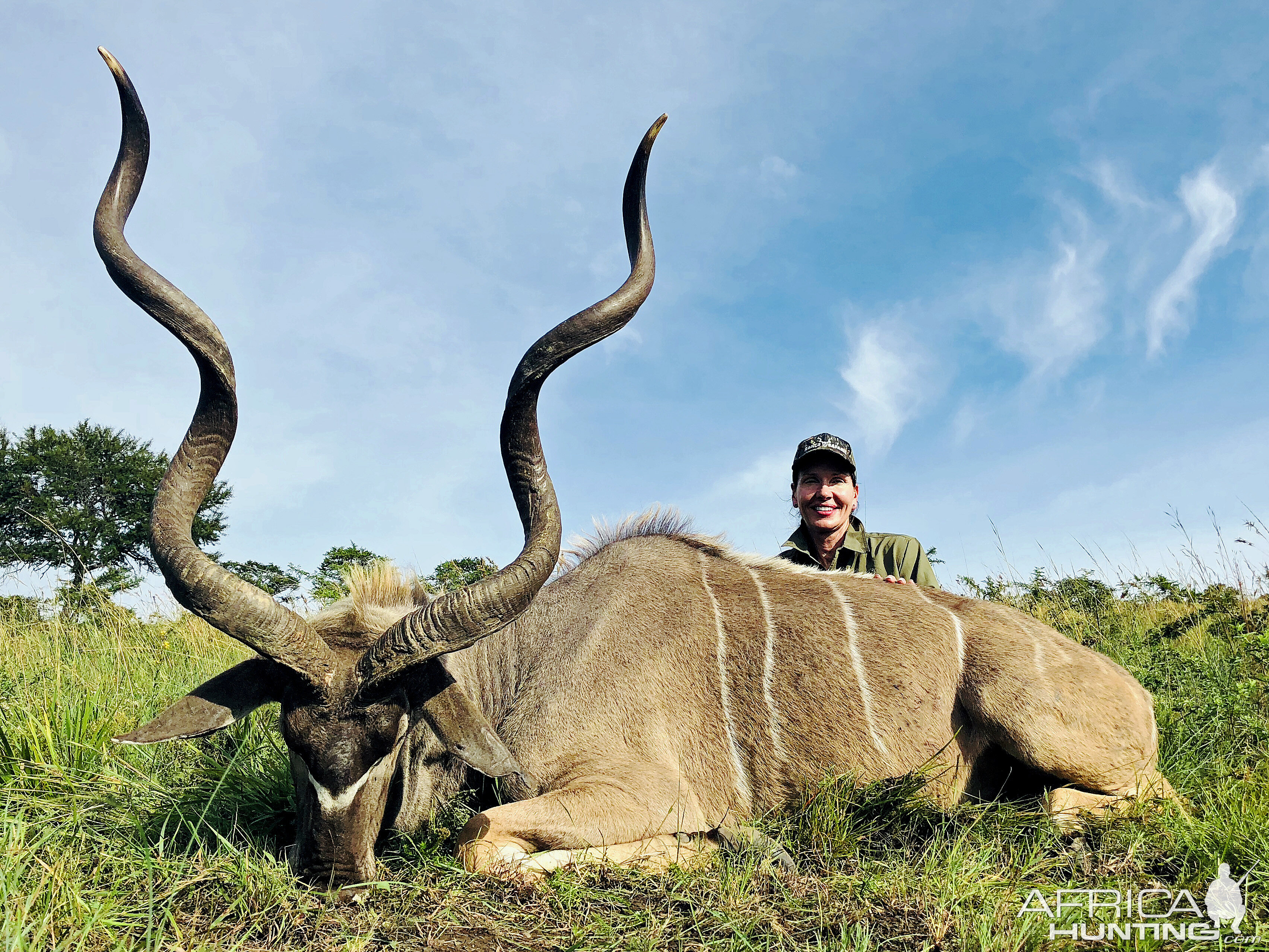 Kudu Hunting South Africa