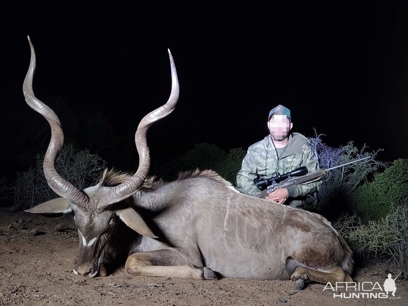 Kudu Hunting South Africa