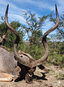 Kudu Hunting