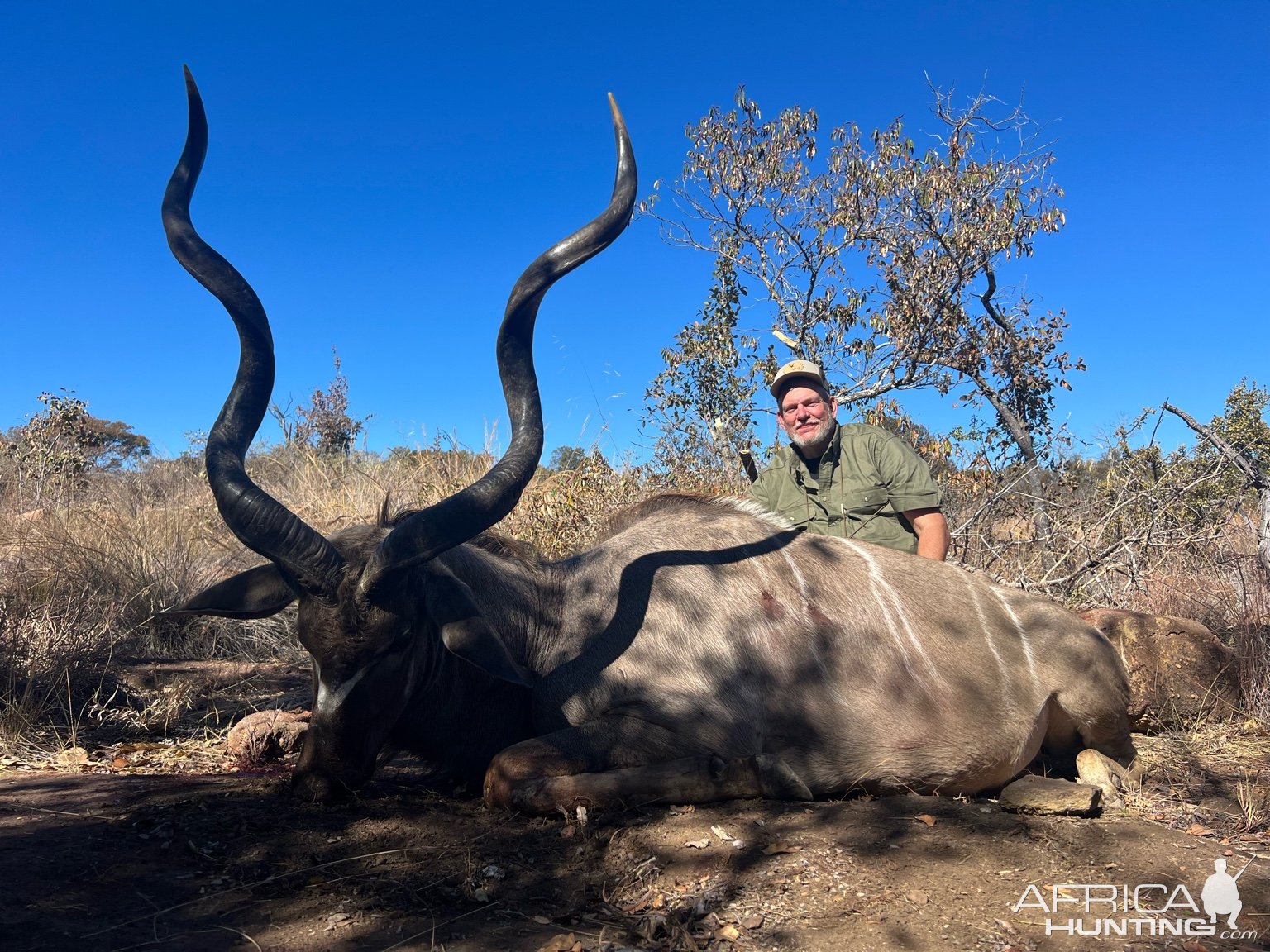 Kudu Hunting