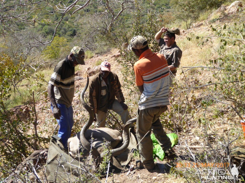 Kudu Hunting